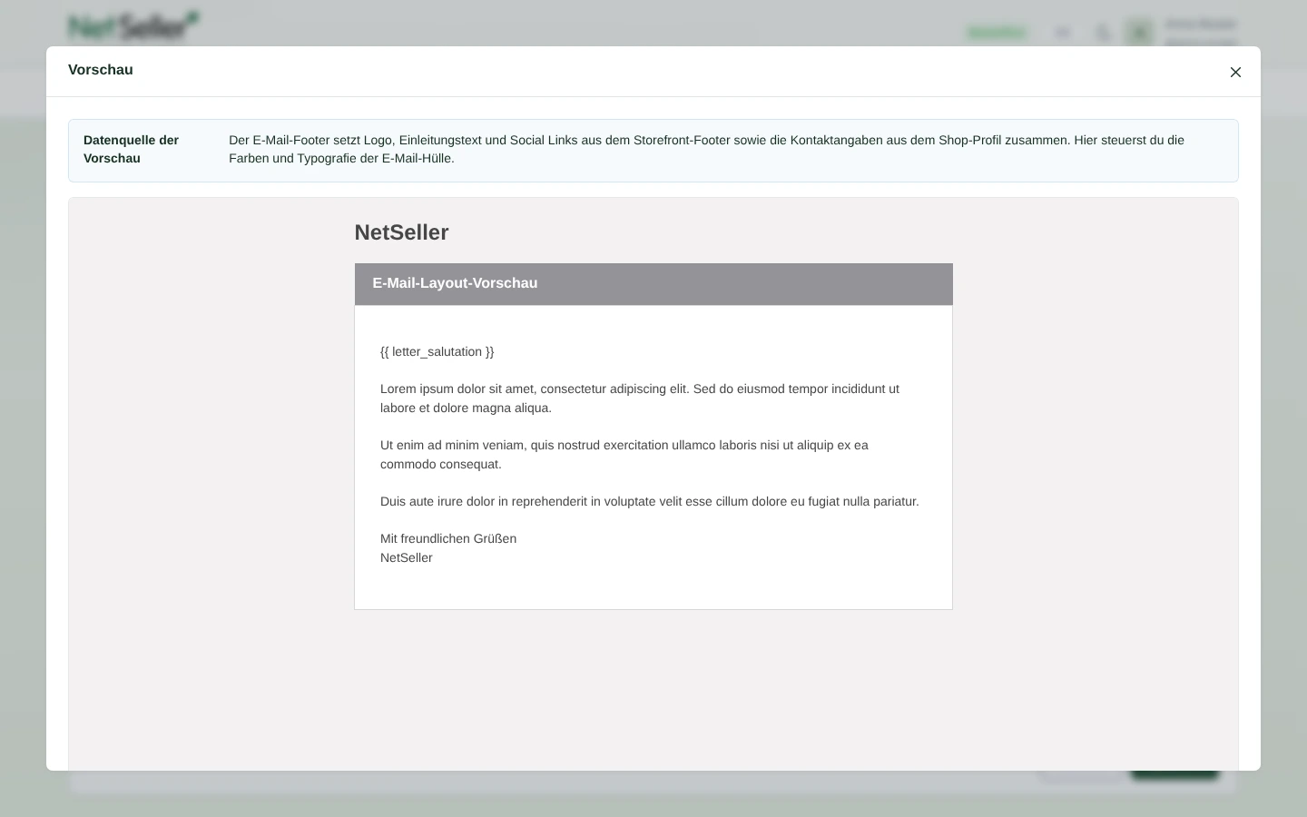 Vorschau eines zentral gestalteten E-Mail-Layouts in NetSeller