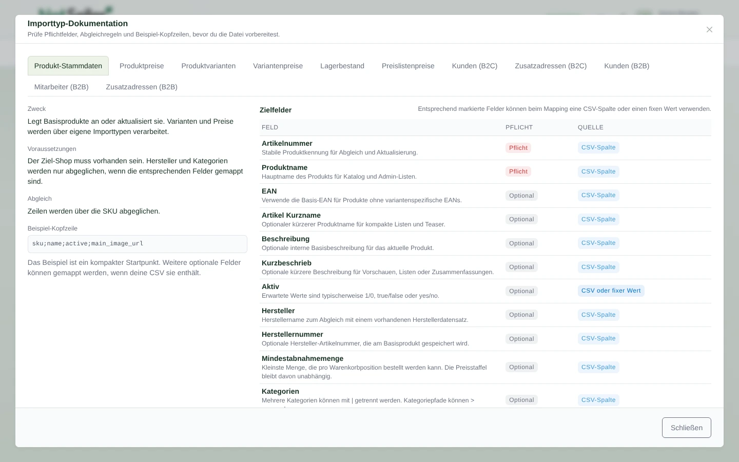 Dokumentation der verf&uuml;gbaren NetSeller Importtypen